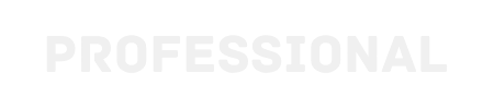 Company Logo - Professional 